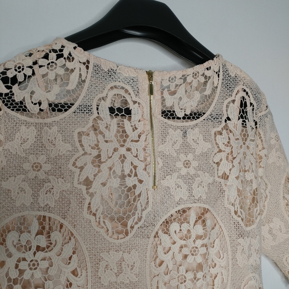 Zara Nude Pink Lace Dress - Picture 12 of 14